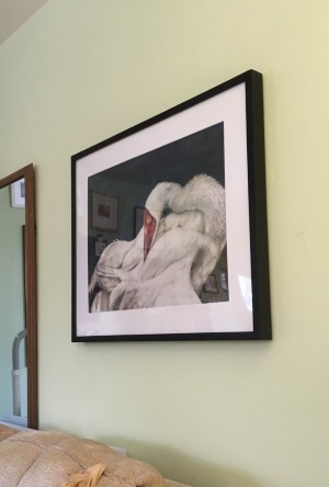 Framed painting of Siberian Crane
