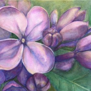 Lilac bud