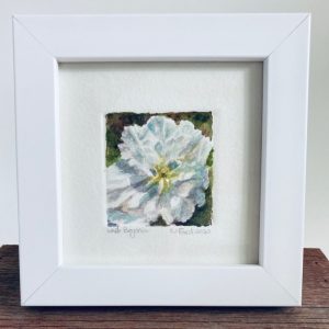 A tiny wonder original watercolor painting of a white begonia