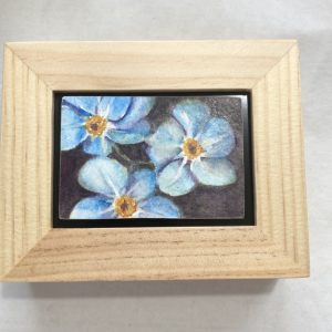 An original watercolor painting of the wild flower Forget-Me-Not in a frame
