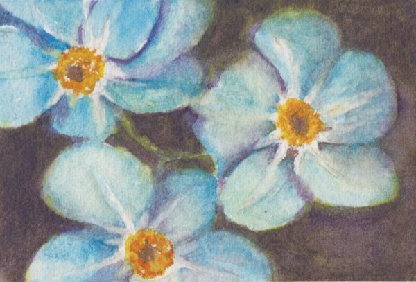 An original watercolor painting of the wild flower Forget-Me-Not