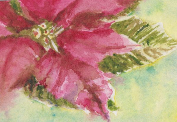 An original watercolor painting of a pink pointsettia