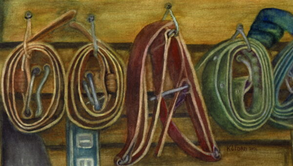 An original watercolor painting of belts hanged on pegs.