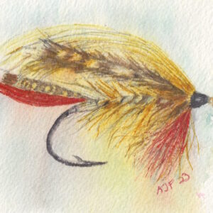 A full dressed classic salmon fly watercolor painting called the candlestick maker.