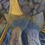 Two tails trout in a net.