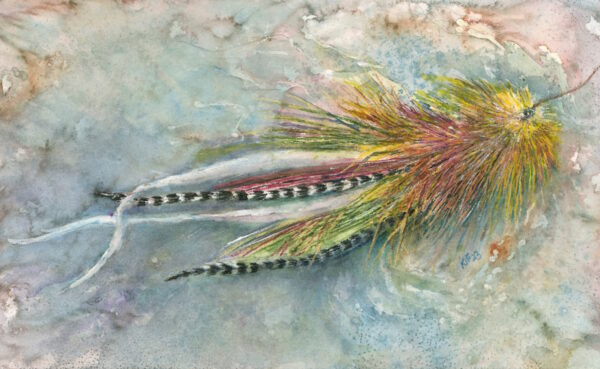An original musky fly watercolor painting of a fly in pause mode.