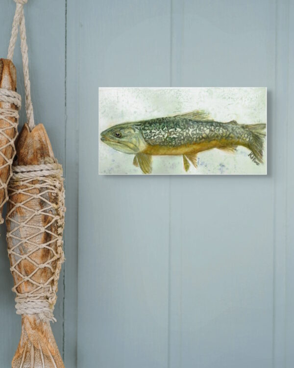 A watercolor painting of a tiger trout hung on a wall.