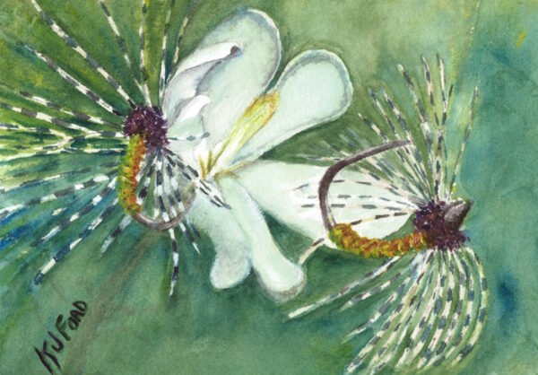 An original watercolor of two fishing flies with a magnolia in the background.