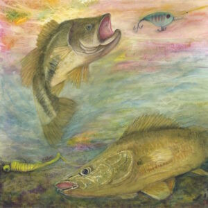 Watercolor painting of largemouth bass and walleye charging lures in a blue and green underwater scene