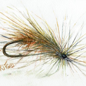 A watercolor painting of a caddis fishing fly in shades of brown.