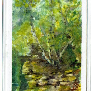 Rock outcropping with trees in light green