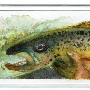 Watercolor painting of a brown trout held upright in one hand, glowing in golden sunlight against a soft mountain and river background; a symbolic catch-and-release moment in fly fishing.