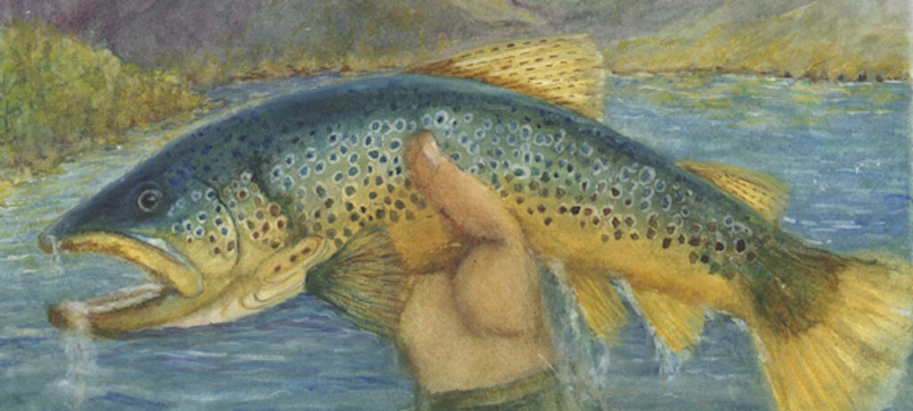 Rainbow trout held by a hand