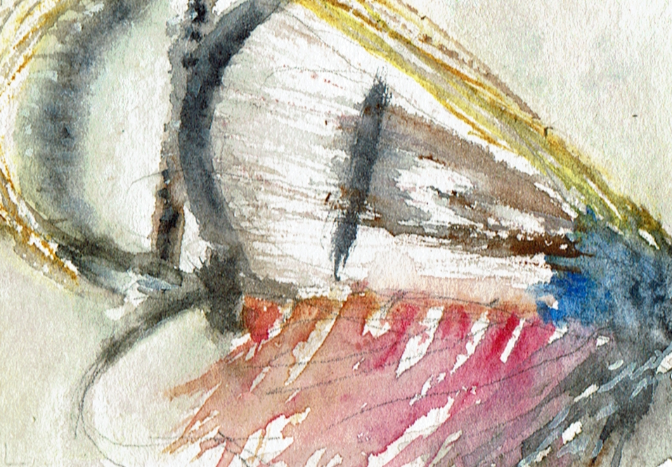 big white wing on a fishing fly