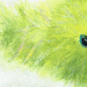 Chartreuse articulated fly.