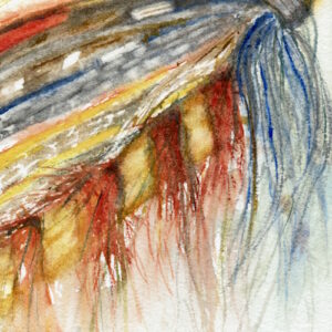 Full Dressed salmon fly cropped