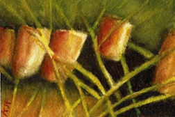 Orange poppers with yellow legs